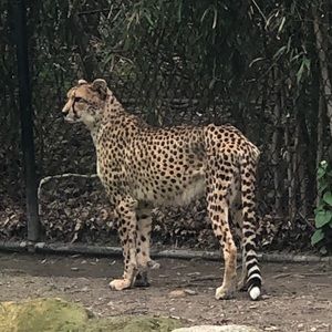 Meet your Posher, Brandi